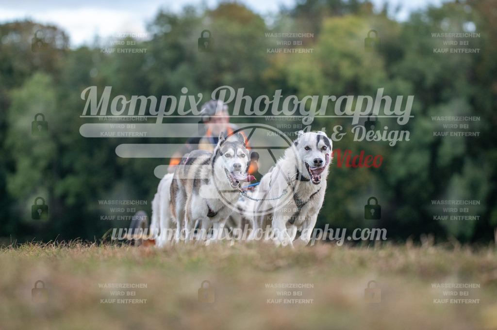 CDLBDB_15_10_2023_Dimanche-35 | PayLife