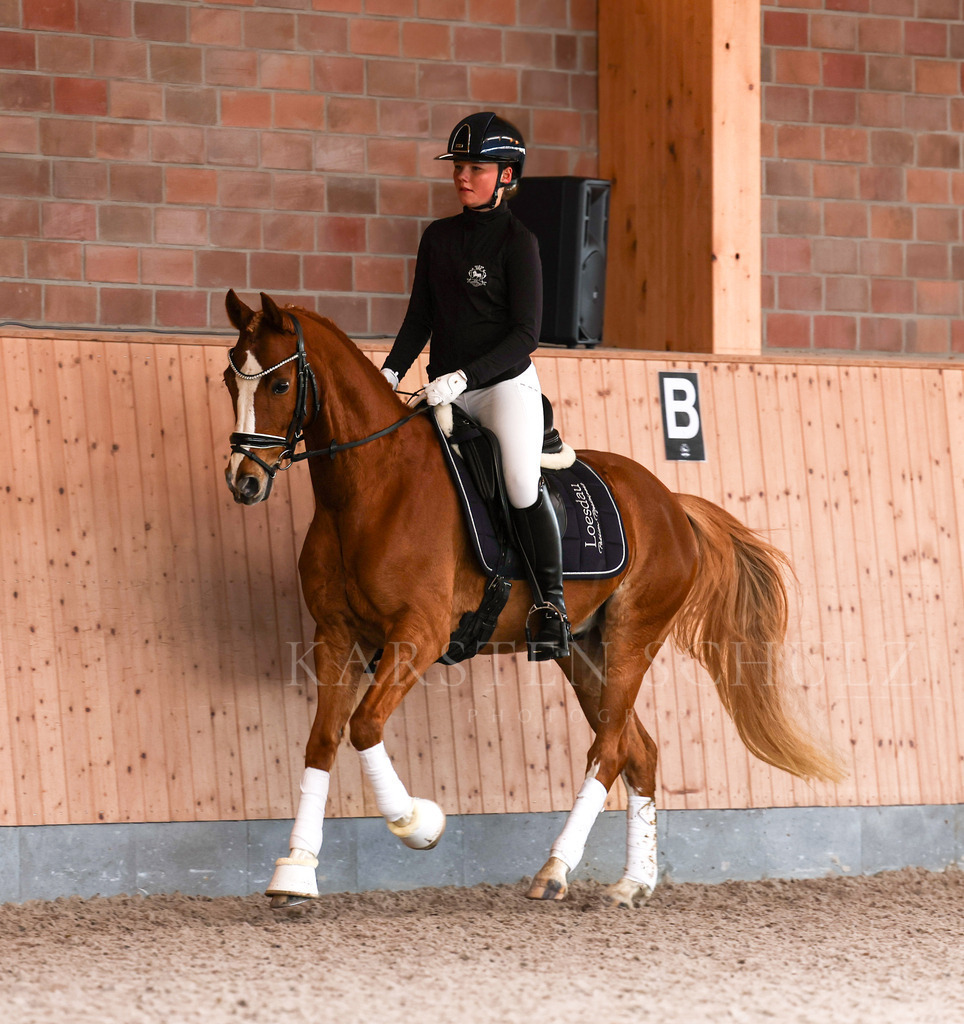 1B3A3750 | Karsten Schulz - Photography