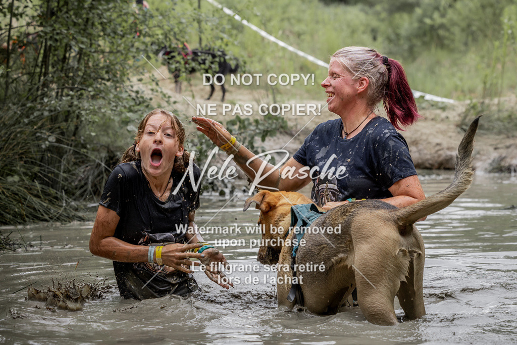 nelerasche_so1515-1530_256 | nelerasche