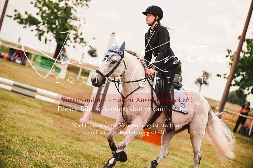 DSC_6977 | Pferde- und Turnierfotografie in Westsachsen. Pferdeportraits, Auftragszeichnungen und intuitive Kunst.