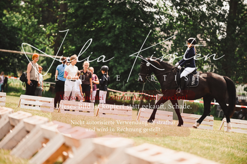 DSC_6293 | Pferde- und Turnierfotografie in Westsachsen. Pferdeportraits, Auftragszeichnungen und intuitive Kunst.