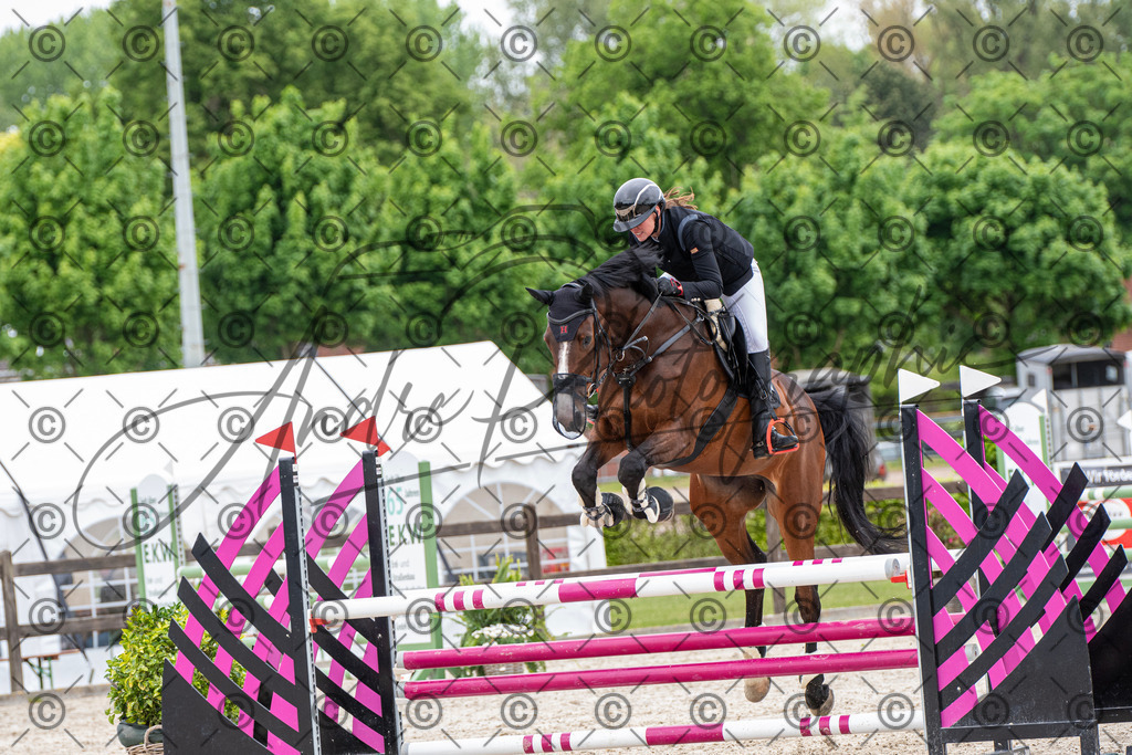 KPT_8656 | andre_photographic