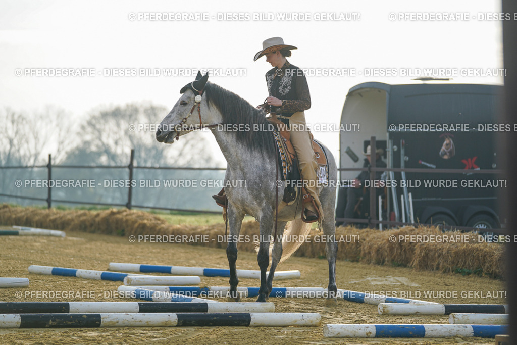 DSC09599 | Pferdegrafie