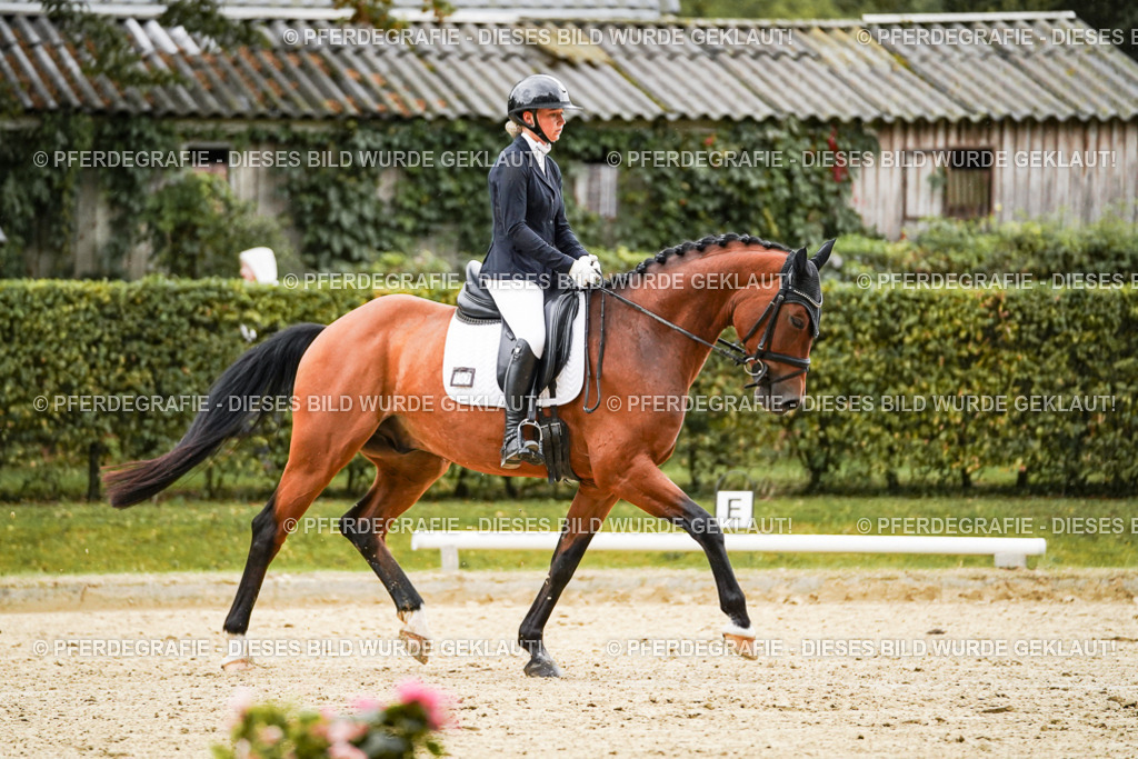 DSC07311 | Pferdegrafie