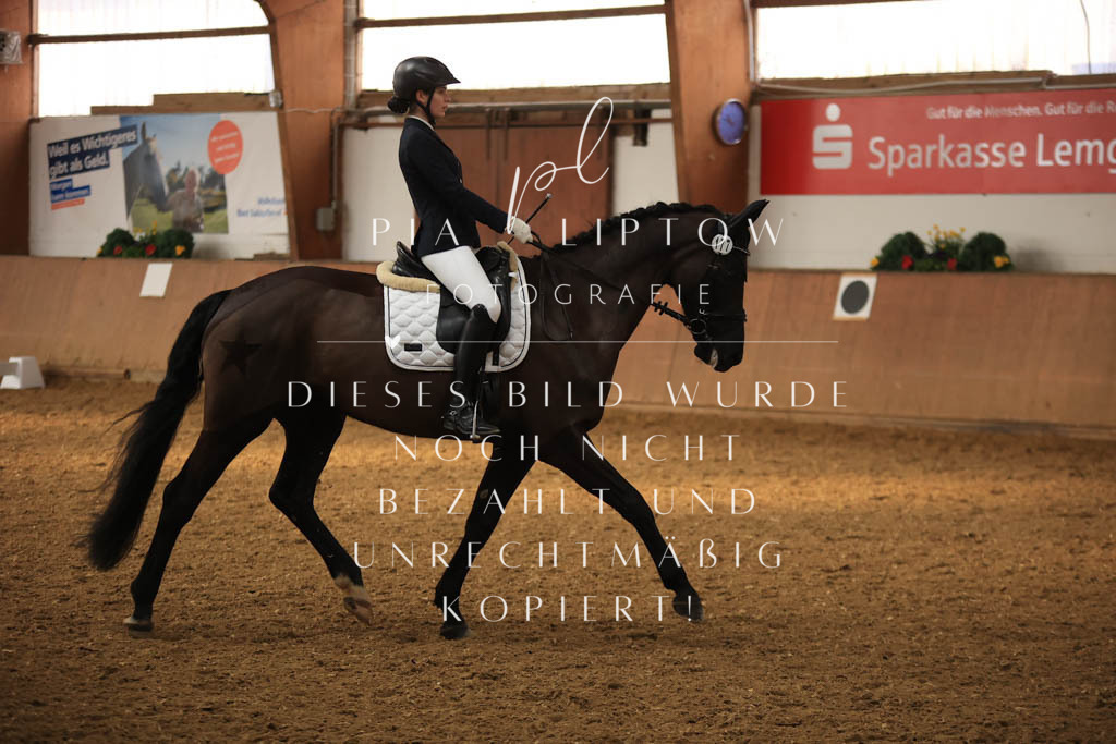 IMGT7401 | pl-fotografie