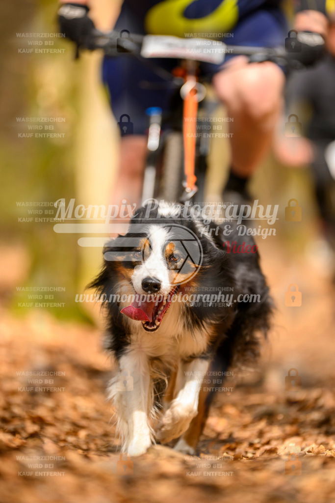 MompixPhotography_Habay2025_SA_Bike-170 | PayLife