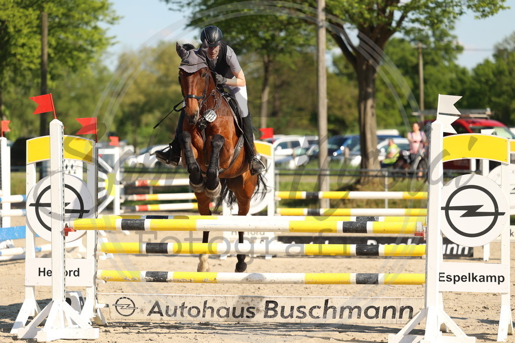 994A6183 | sabrinanicolaifotografie - Realisiert mit Pictrs.com