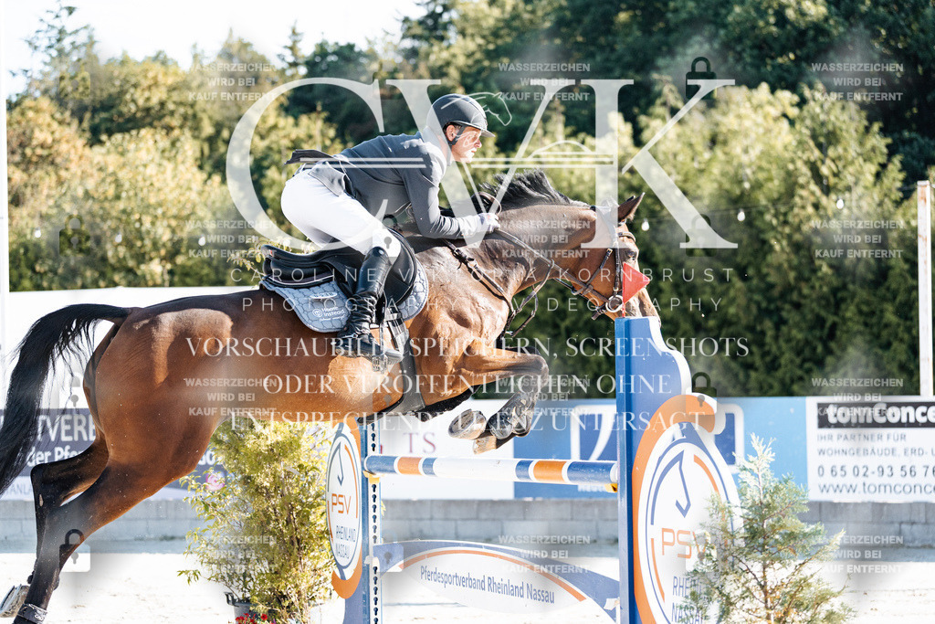 CK904090 | Turnierfotografie Pferdefotografie Trier Rheinland-Pfalz Pferdesport Reitsport Tierfotografie Sportfotografie Pferdevideo Pferdevideografie Equestrianvideography equestrianphotography  - Realisiert mit Pictrs.com