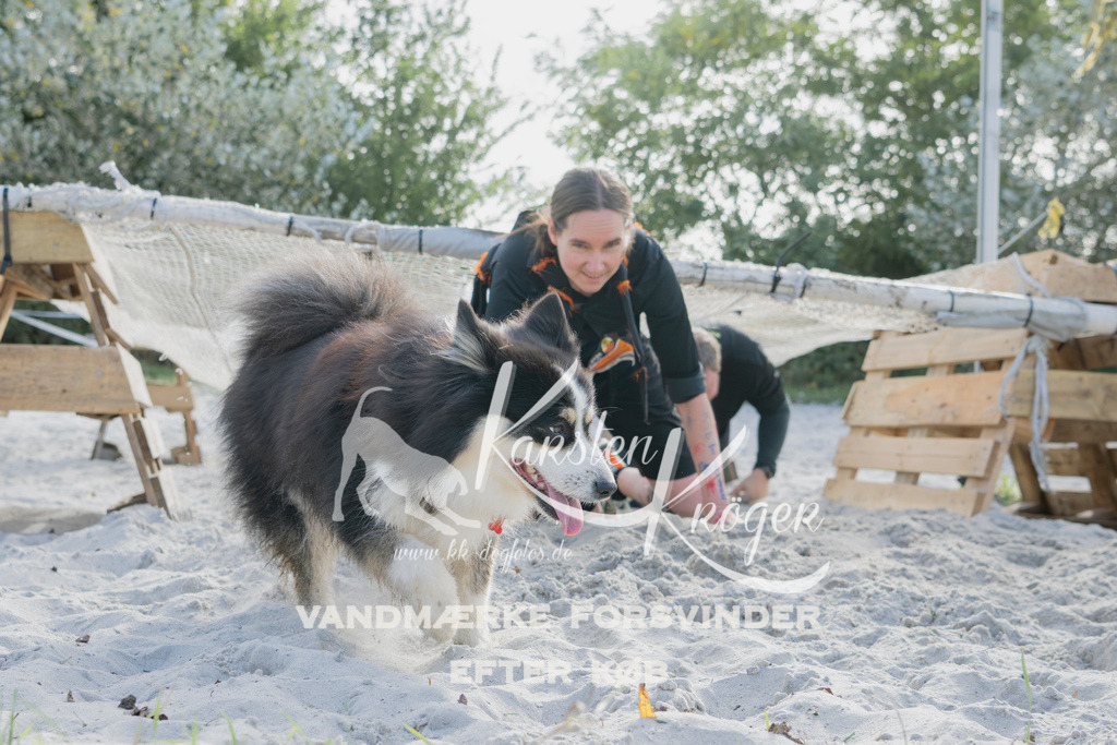1321_ZZ96106 | kk-dogfotos