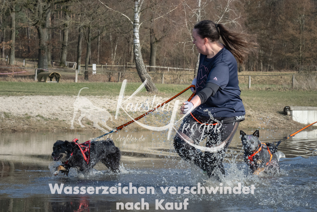 1458_ZZ91223 | kk-dogfotos