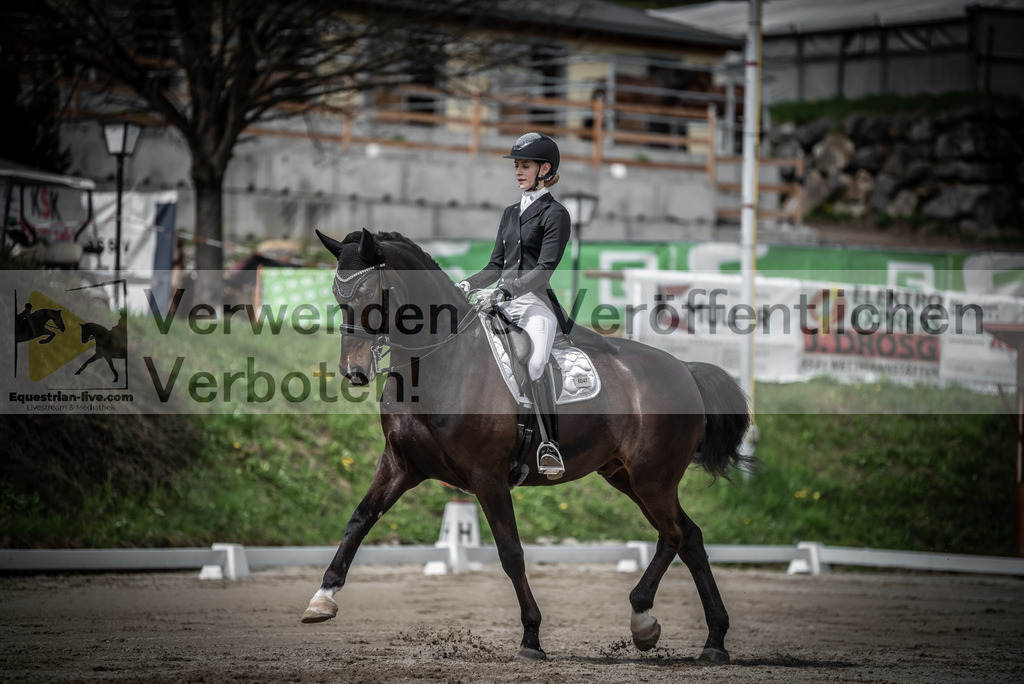 DSC_2262 | equestrian-live-com