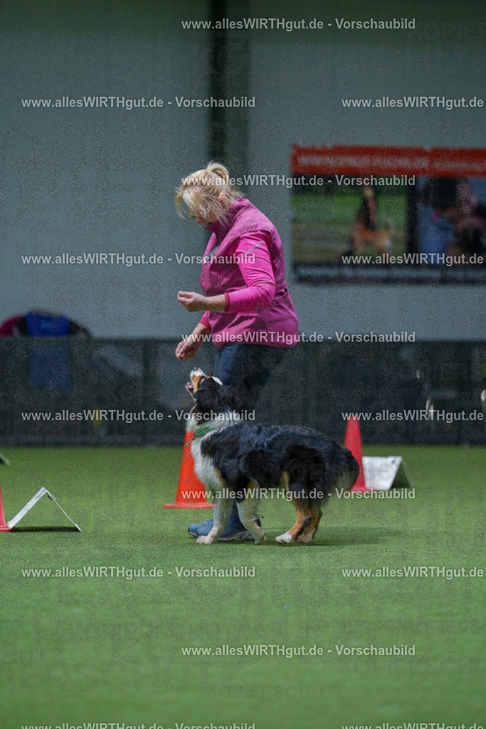 7R505926 | Professionelle Tierfotografie in Mönchengladbach von Daniel Wirth (allesWIRTHgut). Liebevolle & natürliche Bilder von Hunden & Katzen für unvergessliche Erinnerungen.