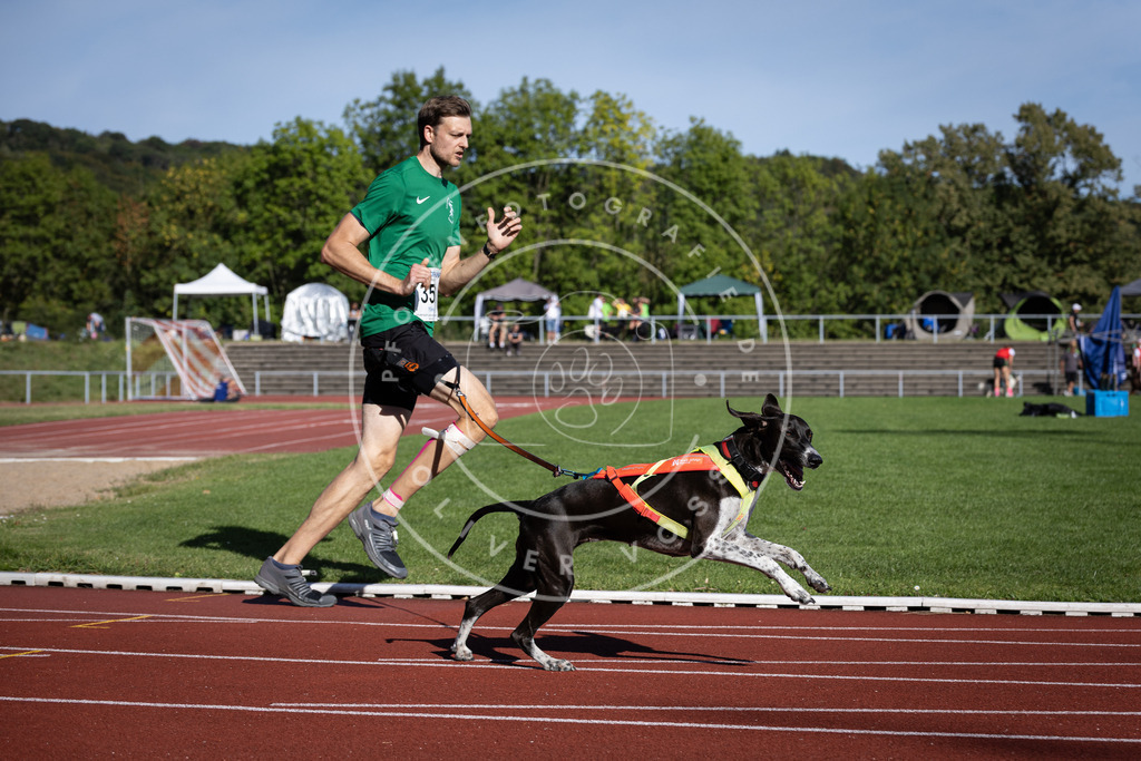 Pfotenfotografie_DV3A9445 | Hundefotografie, Tierfotograf, Pfotenfotografie, Fotoshooting Hund, Hunde Portrait, Hundesport, Hundeportraits, Heideshooting, Hunde, Sportfotograf, Hundefotograf, Turnierhundsport, THS,  - Realisiert mit Pictrs.com