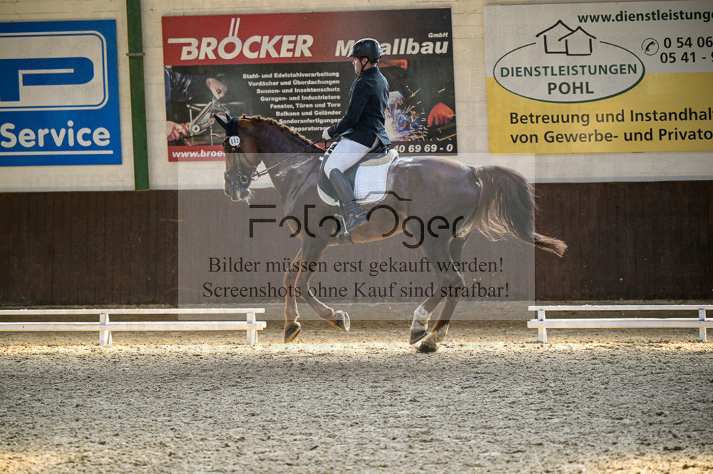 Reitturnier Voxtrup | Entdecke hochwertige Reitturnierfotos von Foto Oger. Professionell, emotional und authentisch – jetzt Lieblingsmomente im Shop bestellen.Deutschlandweite Turnierfotografie. - Realisiert mit Pictrs.com