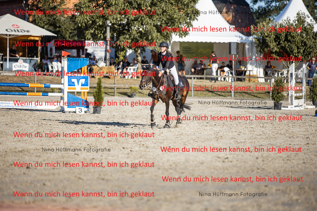 BK1A7862 | Turnierbilder Turnierfotos Nina Hüffmann Turnierfotografie Pferdefotografie Tierzeichnung Haustierzeichnung Pferdezeichnung Hundezeichnung Videograf  - Realisiert mit Pictrs.com