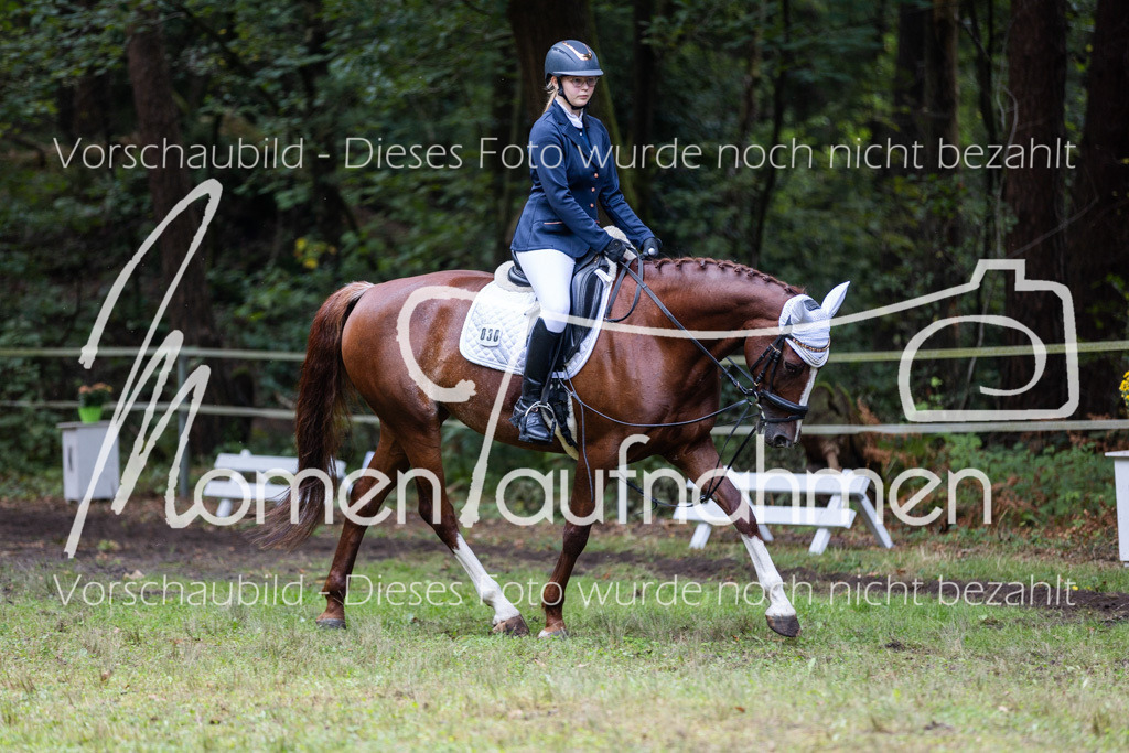 HB-Reiter-WB-012 | MomenTaufnahmen Pferdesportfotos