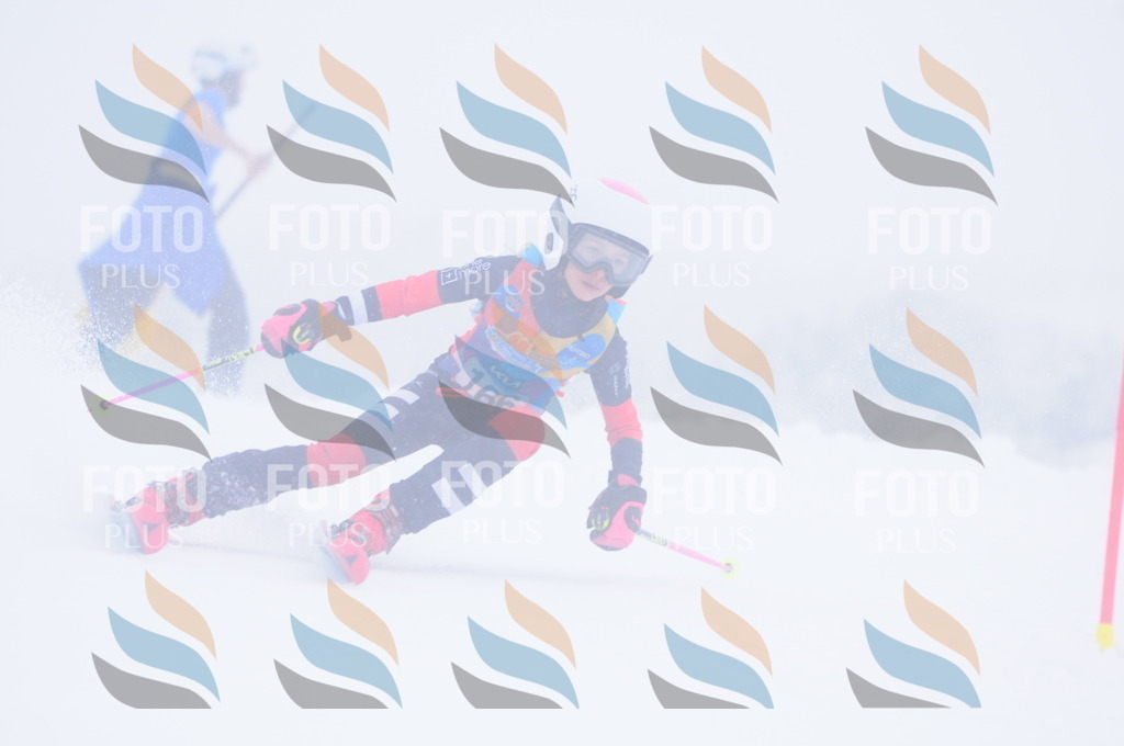 C1954 | holidayphoto