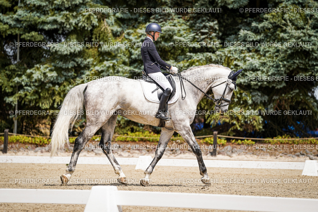 DSC02296 | Pferdegrafie