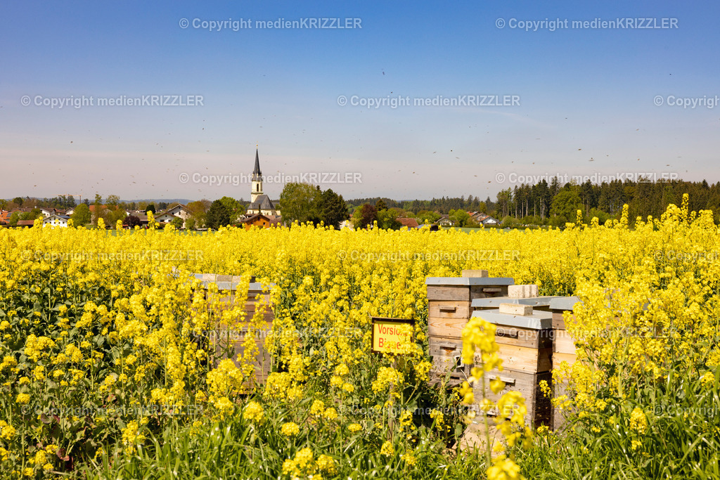 _J3A0631 | medienkrizzler - Realisiert mit Pictrs.com