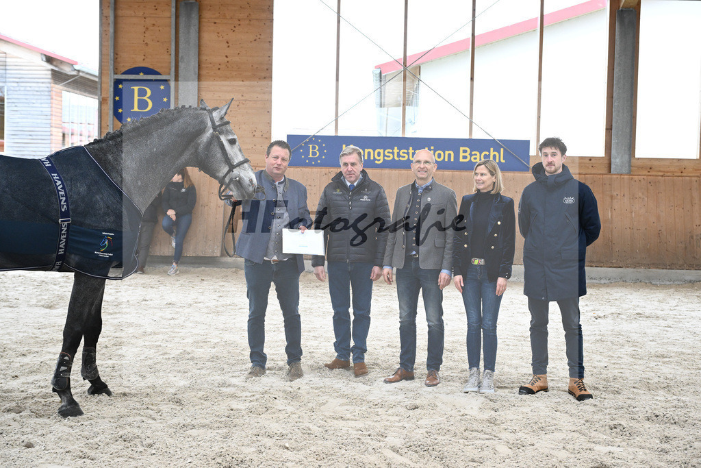 Kat-Nr. 97 Dominard v d Reeberg Z v. Dominator Z_KES GmbH_7242044 | hf-fotografie - Realisiert mit Pictrs.com