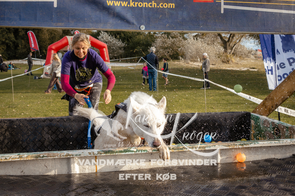 1600_ZZ97883 | kk-dogfotos