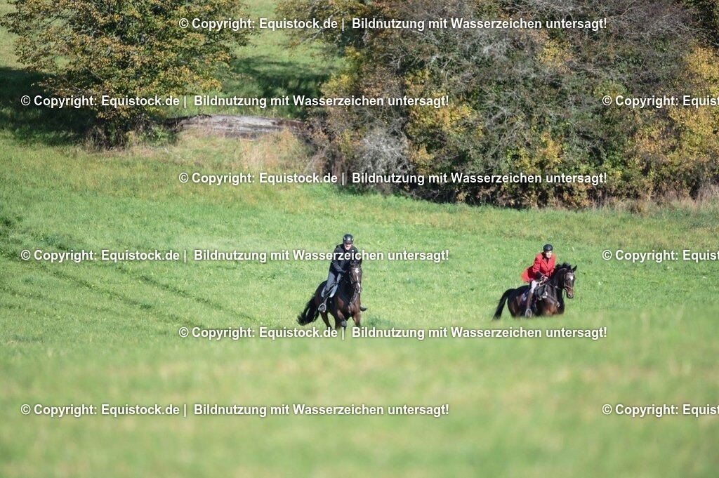 20251011_Jagd-Marbach_0326 | Foto: Thomas Hartig