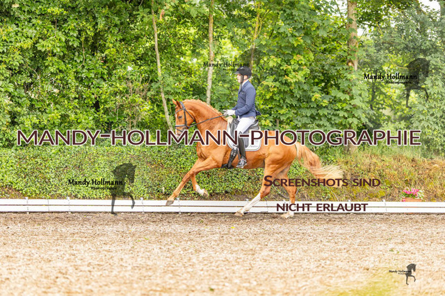 RPF Filsum (47 von 167) | mandyhollmannphotographie