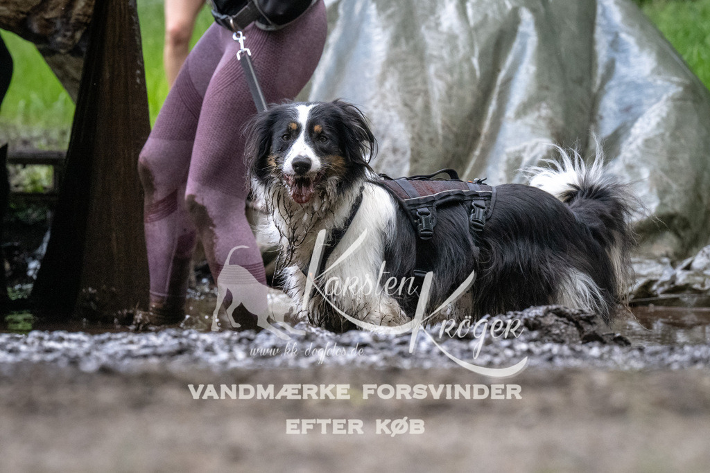 1257_ZZ94311 | kk-dogfotos