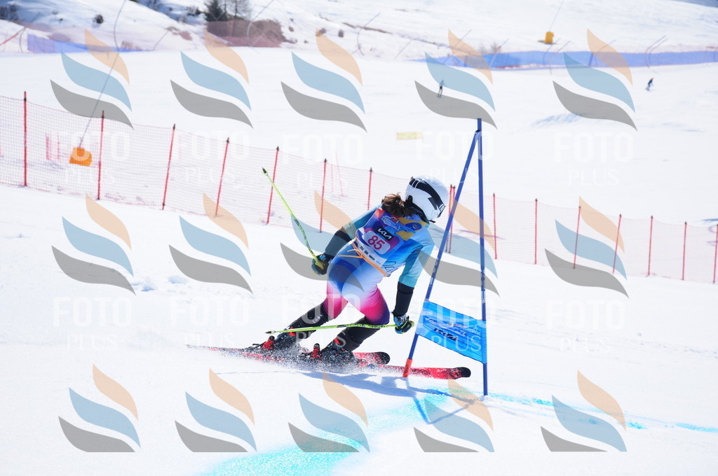 DSC_4576 | holidayphoto