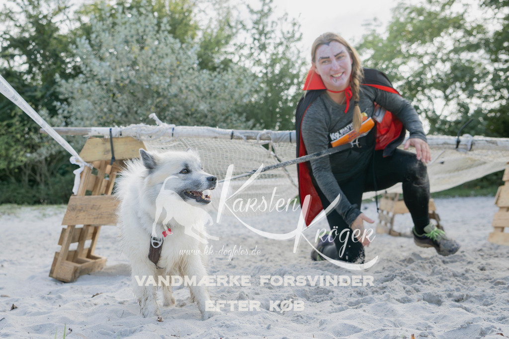 1320_ZZ96002 | kk-dogfotos