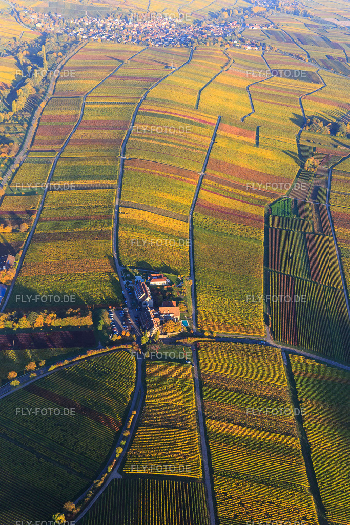 Hotel Leinsweiler Hof zwischen berbstlicht bunten Weinbergen https://leinsweilerhof.de/ | Luftbild: Hotel Leinsweiler Hof zwischen berbstlicht bunten Weinbergen https://leinsweilerhof.de/ in Leinsweiler im Bundesland Rheinland-Pfalz in Deutschland. Foto: IMG_095729.jpg vom 30.10.2016 durch Werner Riehm/FLY-FOTO.de - Realisiert mit Pictrs.com