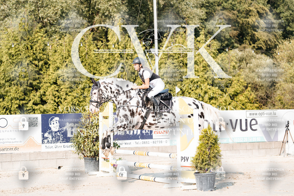 CK902802 | Turnierfotografie Pferdefotografie Trier Rheinland-Pfalz Pferdesport Reitsport Tierfotografie Sportfotografie Pferdevideo Pferdevideografie Equestrianvideography equestrianphotography  - Realisiert mit Pictrs.com