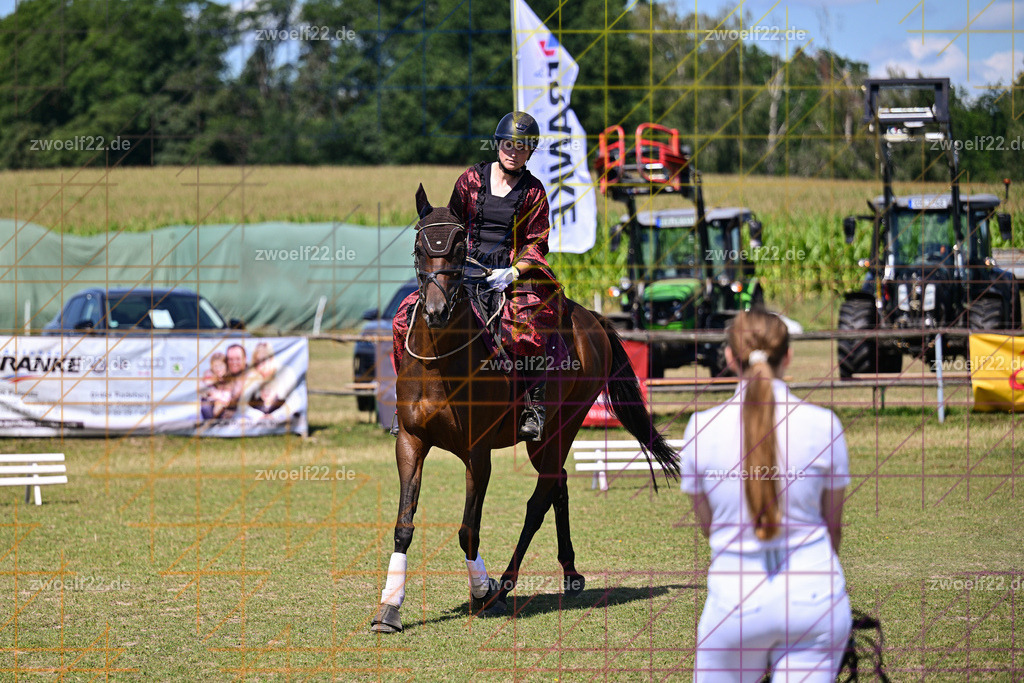 30 Jahre RFV Pulsnitz e.V., Pulsnitz am 09.08.2026 | 30Jahre Reit- und Fahrverein Pulsnitz e.V., Pulsnitz am 08.08.2026Zur 28. breitensportlichen Veranstaltung des RFV Pulsnitz e.V. fanden verschiedene Wettbewerbe in nahezu allen Disziplinen des Pferdesport statt.- schönstes Schaubild - Realisiert mit Pictrs.com