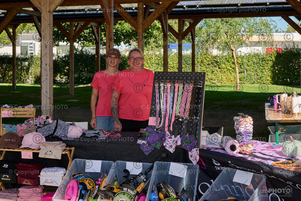 003_202509_4Hundebadetag_NZ9_2062 | proPHOTO - Realisiert mit Pictrs.com