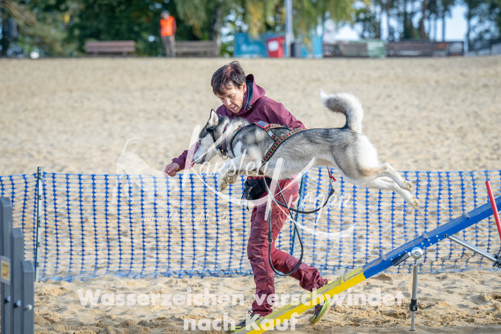 0953_ZZ93007 | kk-dogfotos