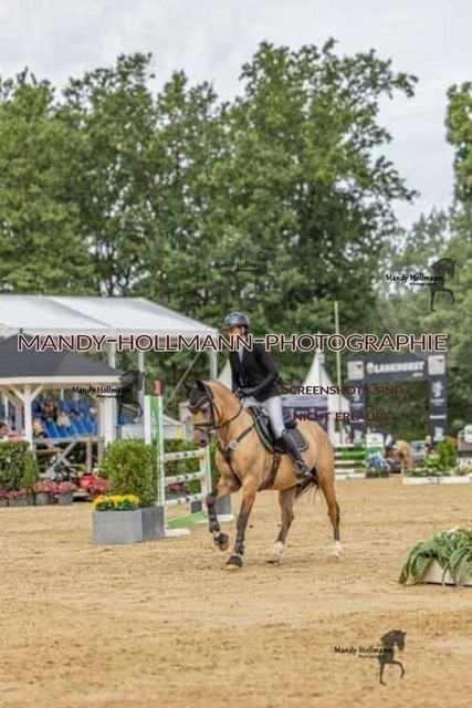 27 SPR 6-300 | mandyhollmannphotographie