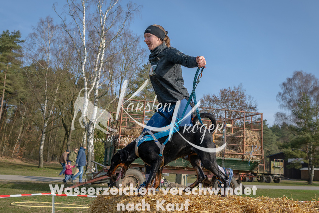 _ZZ94537 | kk-dogfotos