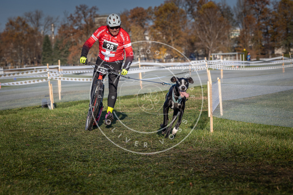CaniXpix_0L8A4105 | Hundefotografie, Tierfotograf, Pfotenfotografie, Fotoshooting Hund, Hunde Portrait, Hundesport, Hundeportraits, Heideshooting, Hunde, Sportfotograf, Hundefotograf, Turnierhundsport, THS,  - Realisiert mit Pictrs.com