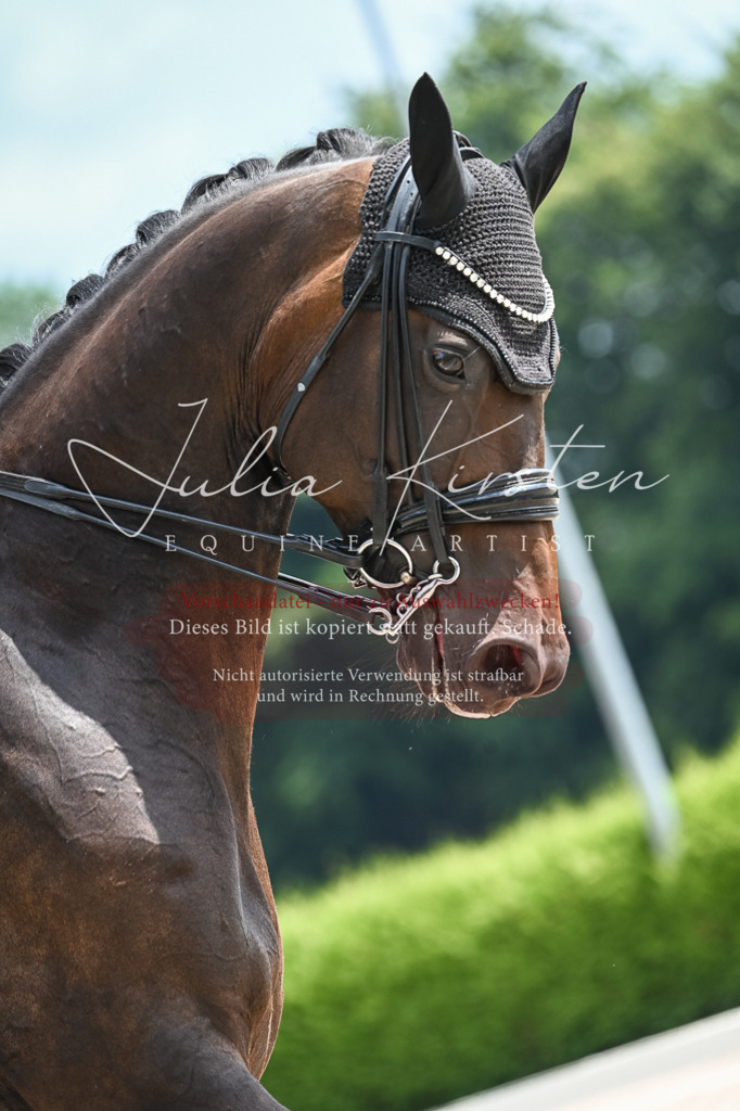DSC_2590 | Pferde- und Turnierfotografie in Westsachsen. Pferdeportraits, Auftragszeichnungen und intuitive Kunst.