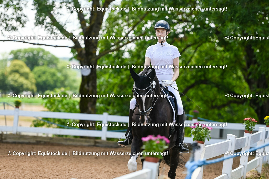 20230716_03_Dressurprfg. Kl.L - Tr._0022 | equistock