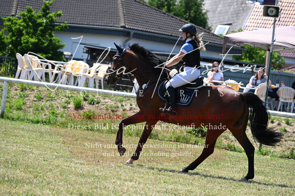 DSC_0655 | Pferde- und Turnierfotografie in Westsachsen. Pferdeportraits, Auftragszeichnungen und intuitive Kunst.