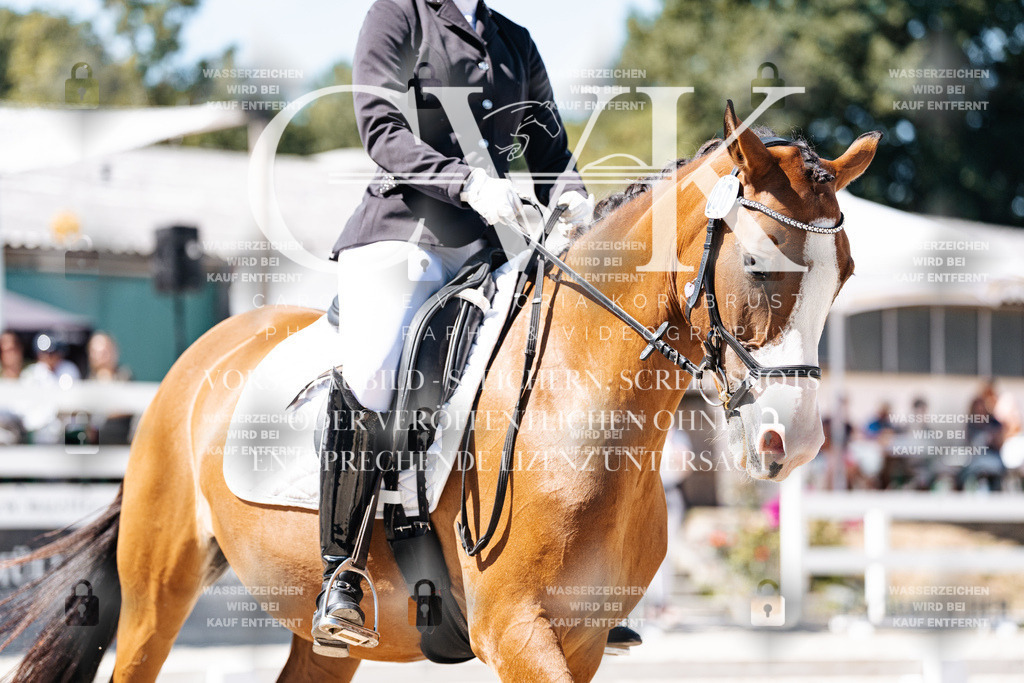 CK900257 | Turnierfotografie Pferdefotografie Trier Rheinland-Pfalz Pferdesport Reitsport Tierfotografie Sportfotografie Pferdevideo Pferdevideografie Equestrianvideography equestrianphotography  - Realisiert mit Pictrs.com