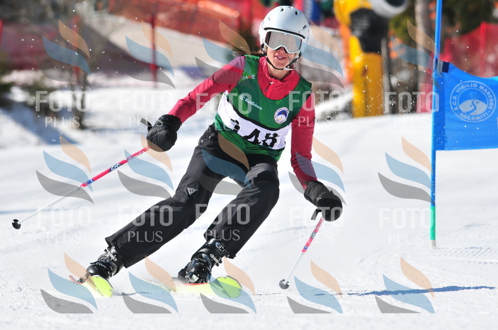 C4018 | holidayphoto