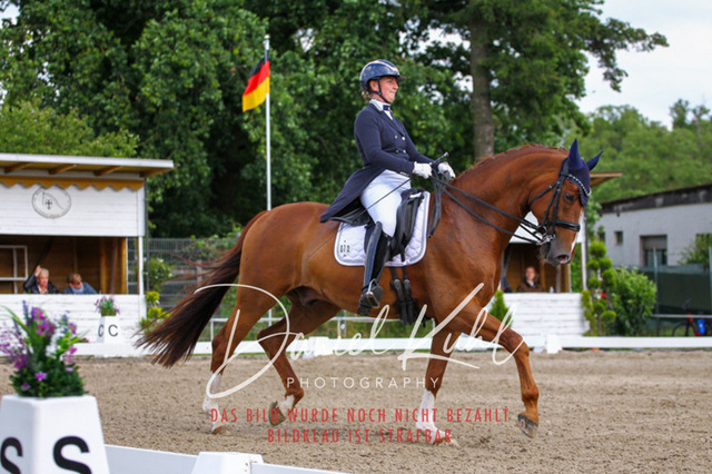 DKP41548 | Turnierfotos kaufen im Webshop von Daniel Kuhl Photography – entdecke professionelle Reitsportfotos aus Turnieren & Events. Hochwertige Turnierbilder online bestellen & sichern. Jetzt Fotos von Reitsportturnieren kaufen!