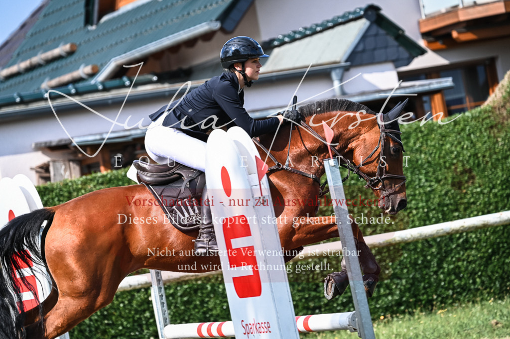 DSC_7918 | Pferde- und Turnierfotografie in Westsachsen. Pferdeportraits, Auftragszeichnungen und intuitive Kunst.