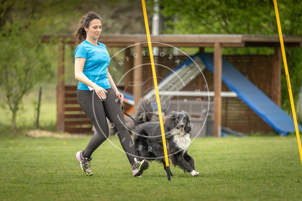 Pfotenfotografie_DV3A1657 | Hundefotografie, Tierfotograf, Pfotenfotografie, Fotoshooting Hund, Hunde Portrait, Hundesport, Hundeportraits, Heideshooting, Hunde, Sportfotograf, Hundefotograf, Turnierhundsport, THS,  - Realisiert mit Pictrs.com
