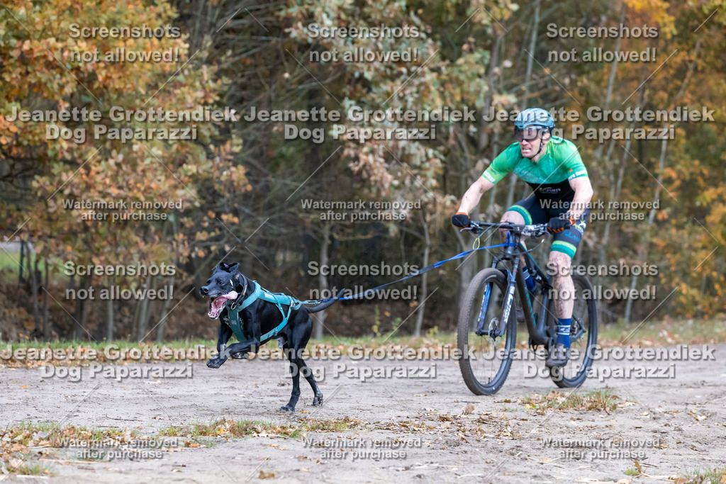 Dog Paparazzi - SD CaniX Championship 2025-211 | Dog Paparazzi Jeanette Grottendiek Fotografie & Videografie - Realisiert mit Pictrs.com