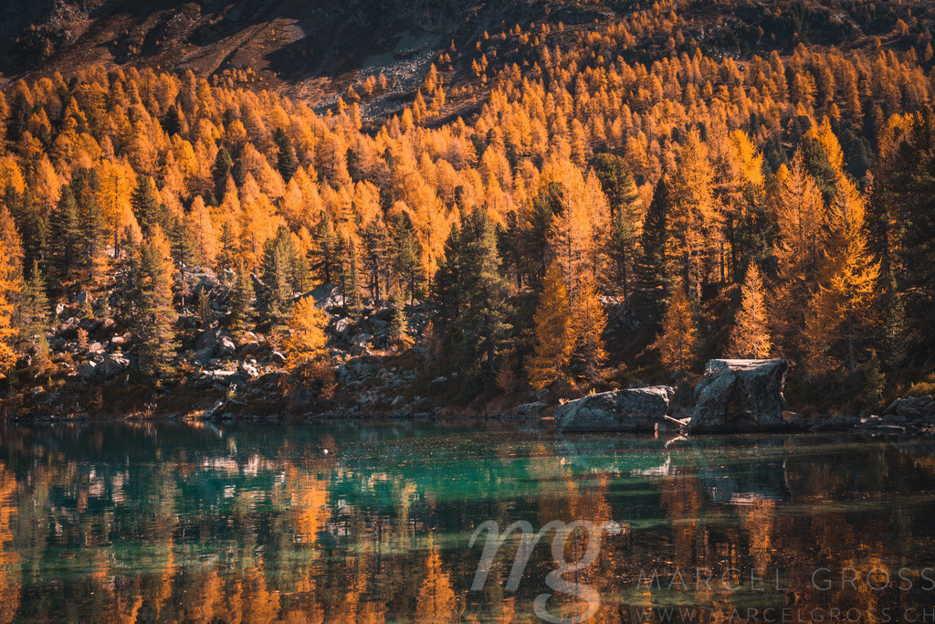 Herbstliche Spiegelung im Lago di Saoseo, Puschlav, Schweiz | Die ideale Geschenkidee für Naturliebhaber. Naturbilder von Marcel Gross Photography für ihr Zuhause in den verschiedensten Formaten und Materialien. - Realisiert mit Pictrs.com