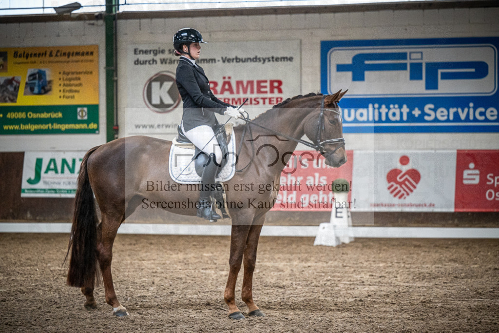 DOS_1151 | Entdecke hochwertige Reitturnierfotos von Foto Oger. Professionell, emotional und authentisch – jetzt Lieblingsmomente im Shop bestellen.Deutschlandweite Turnierfotografie. - Realisiert mit Pictrs.com