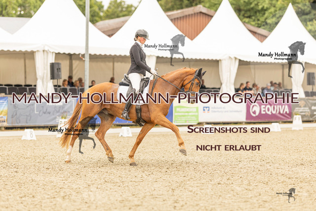 SW 4-173 | mandyhollmannphotographie